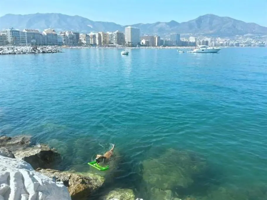 Apartment Higueronrentals Greenhouse Malaga