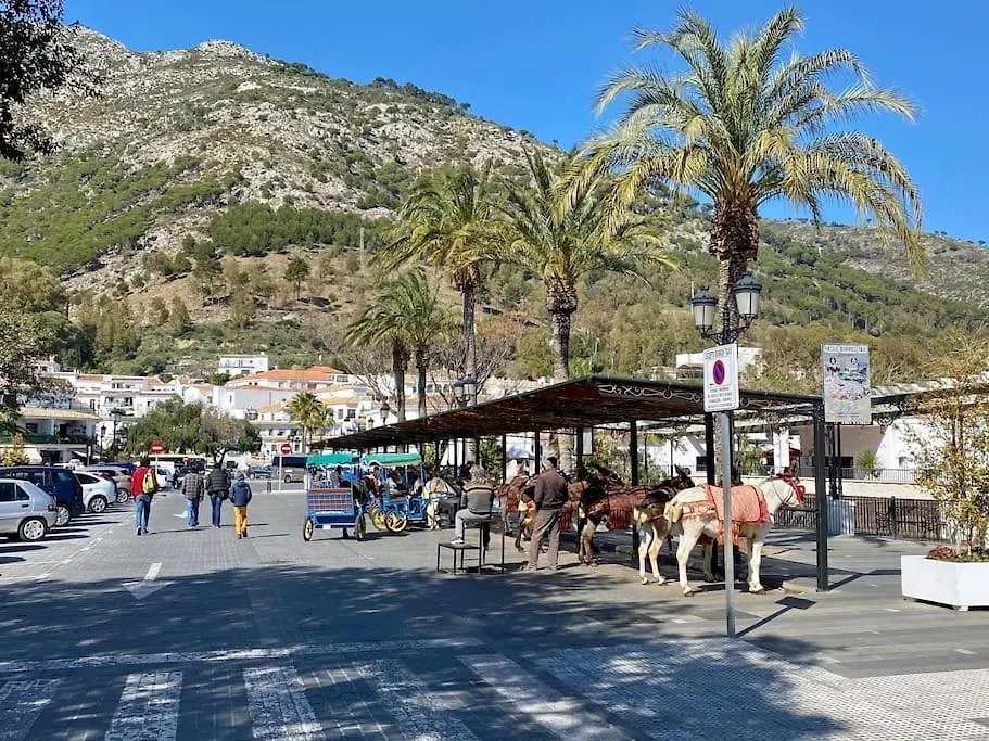 Higueronrentals Greenhouse Malaga Spain