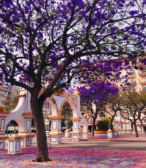 Apartment Higueronrentals Greenhouse Malaga Spain